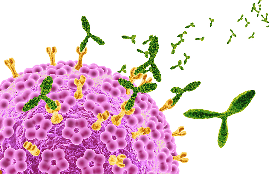 Papilloma virus e ciclo mestruale. Vaccino papilloma virus e ciclo mestruale - artrite eritromicina